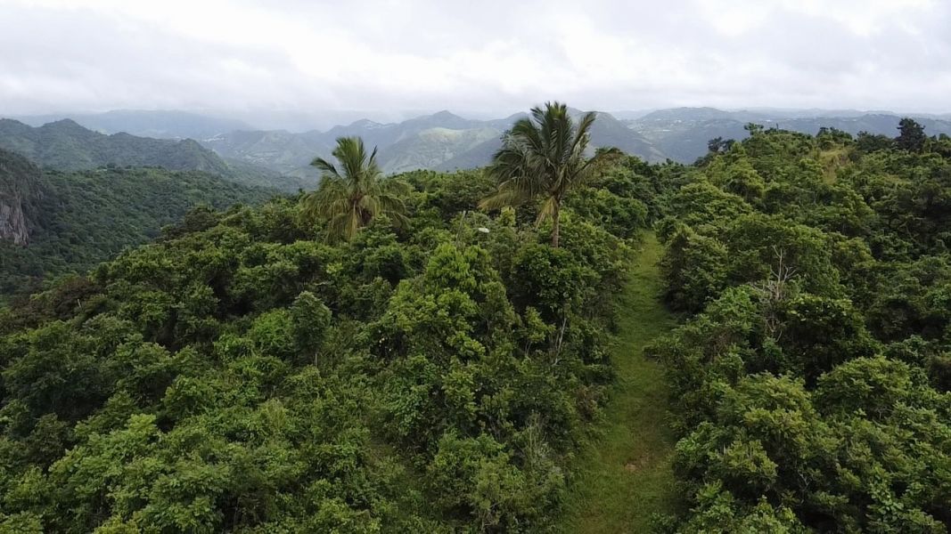 Sr 7722 Km 3.1 Int La Piedra Cayey 00736 PR