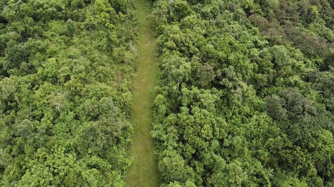 Sr 7722 Km 3.1 Int La Piedra Cayey 00736 PR