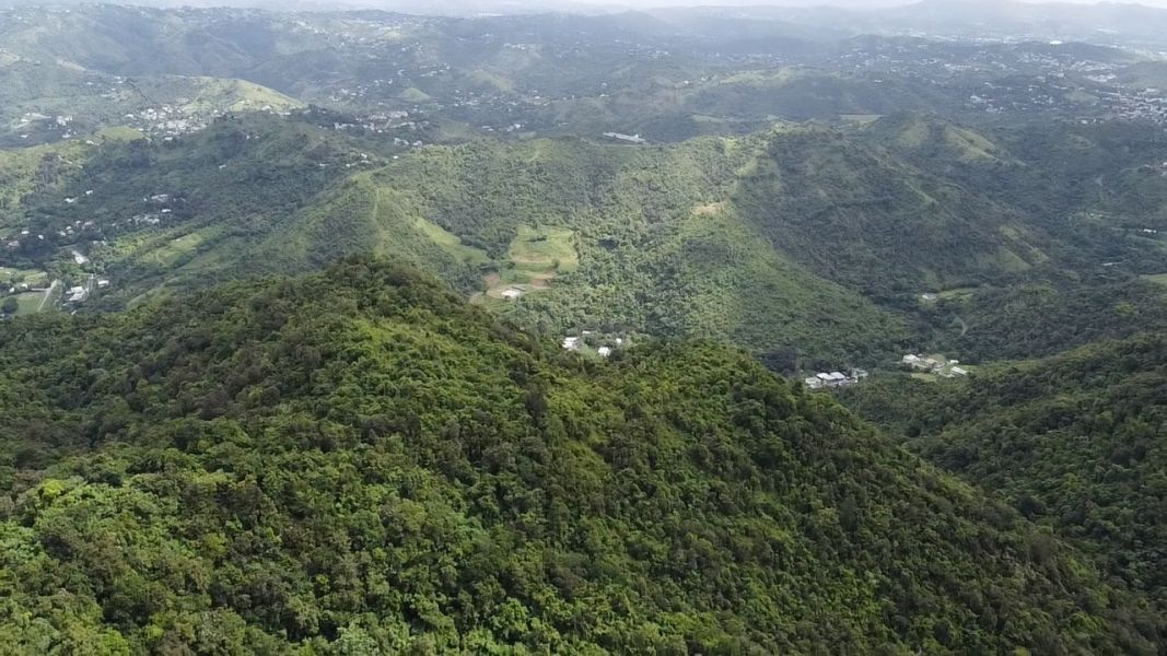 Sr 7722 Km 3.1 Int La Piedra Cayey 00736 PR