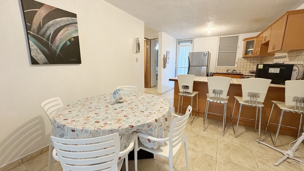 Cond Paseo Del Faro C-102 Cabo Rojo 00623 PR