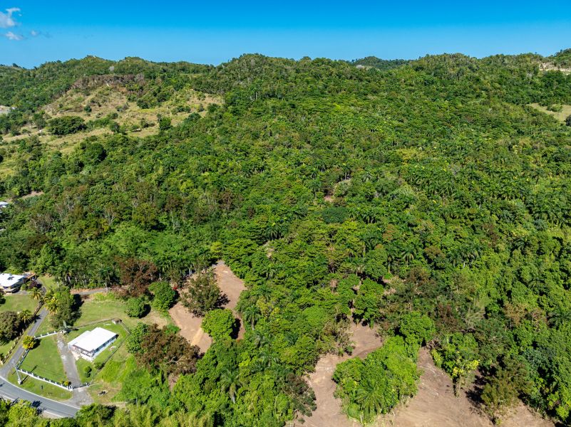 Carr 445 Km 6.4 Bo Saltos San Sebastian 00685 PR