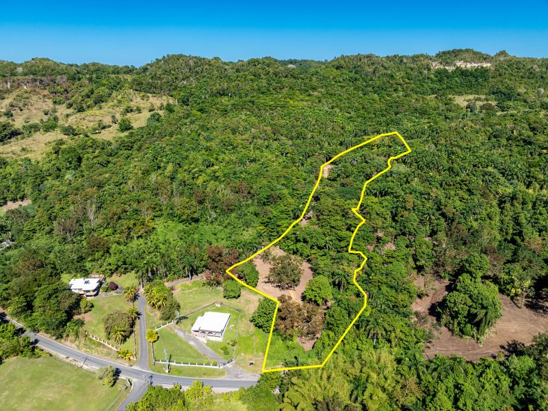 Carr 445 Km 6.4 Bo Saltos San Sebastian 00685 PR