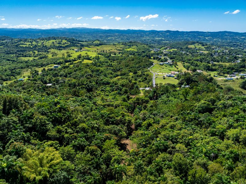 Carr 445 Km 6.4 Bo Saltos San Sebastian 00685 PR