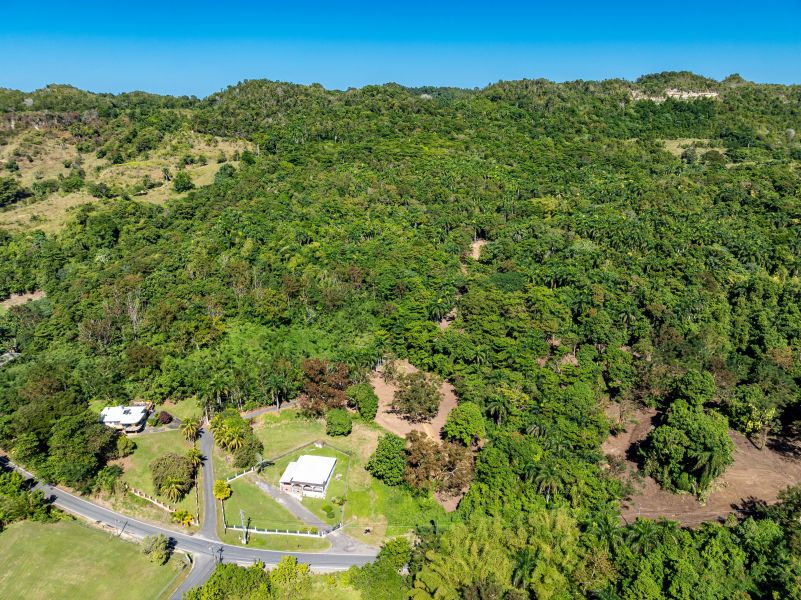 Carr 445 Km 6.4 Bo Saltos San Sebastian 00685 PR