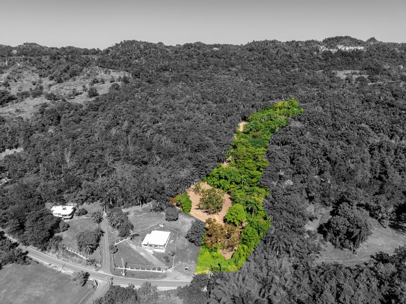 Carr 445 Km 6.4 Bo Saltos San Sebastian 00685 PR