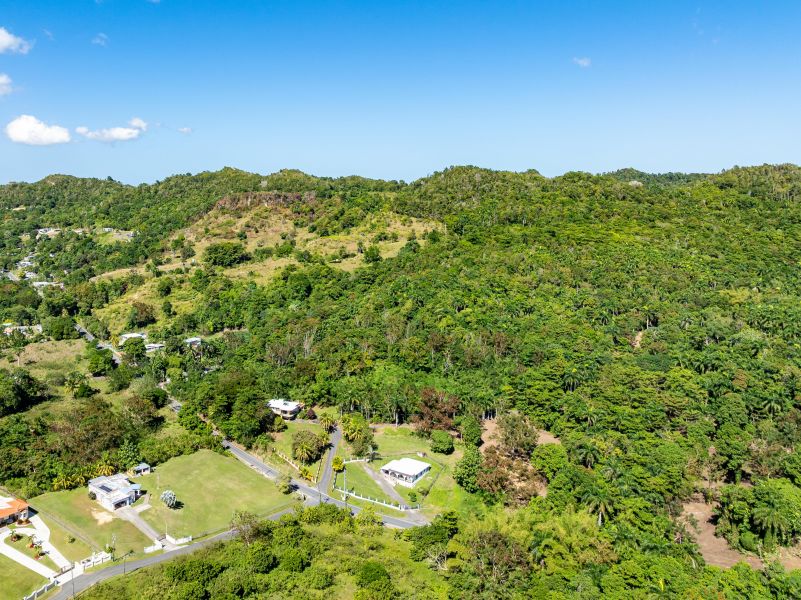 Carr 445 Km 6.4 Bo Saltos San Sebastian 00685 PR