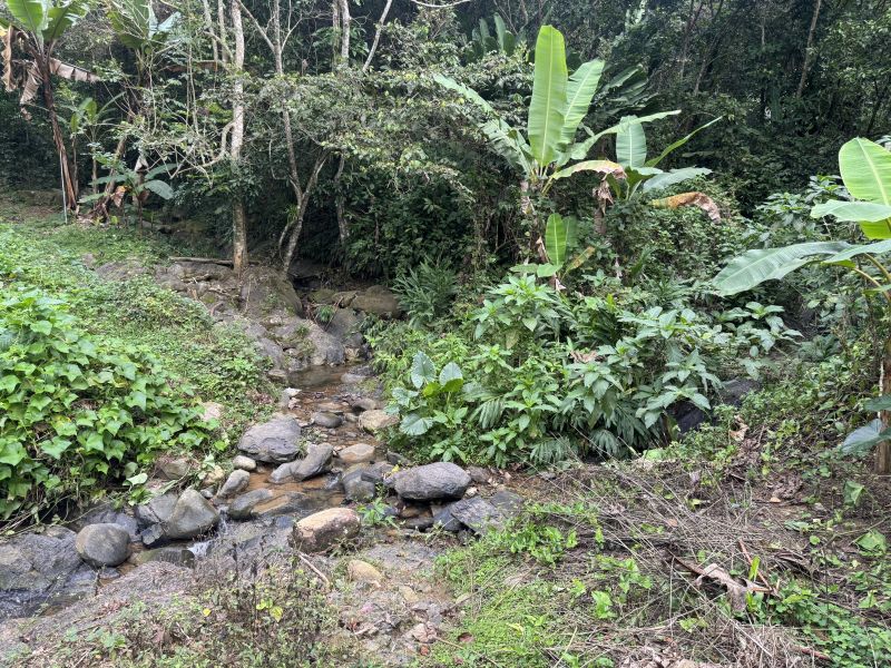 Bo Montes Llanos Carr 505 Sector La Estancita Ponce 00731 PR