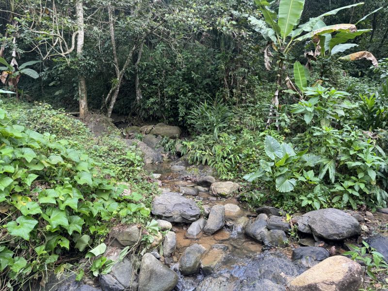 Bo Montes Llanos Carr 505 Sector La Estancita Ponce 00731 PR