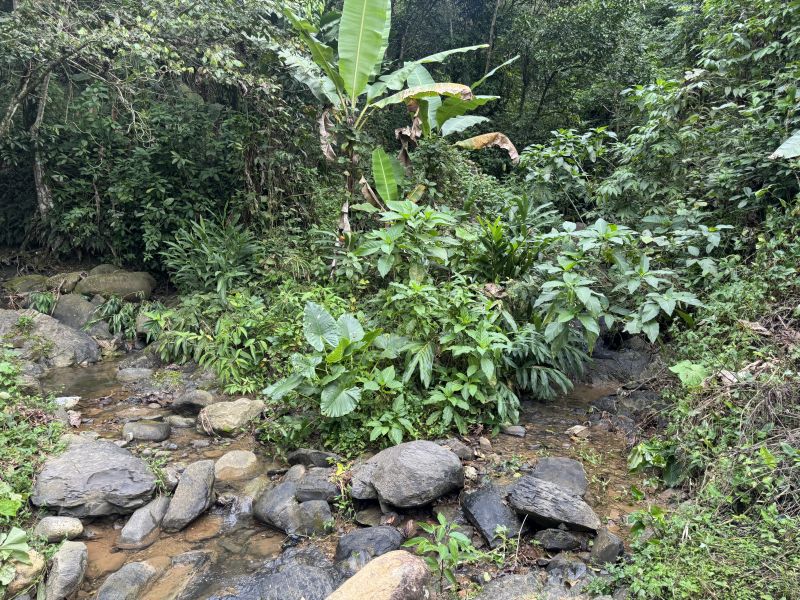 Bo Montes Llanos Carr 505 Sector La Estancita Ponce 00731 PR