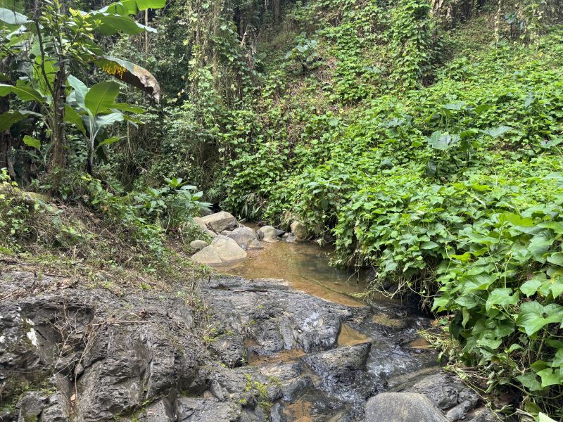 Bo Montes Llanos Carr 505 Sector La Estancita Ponce 00731 PR