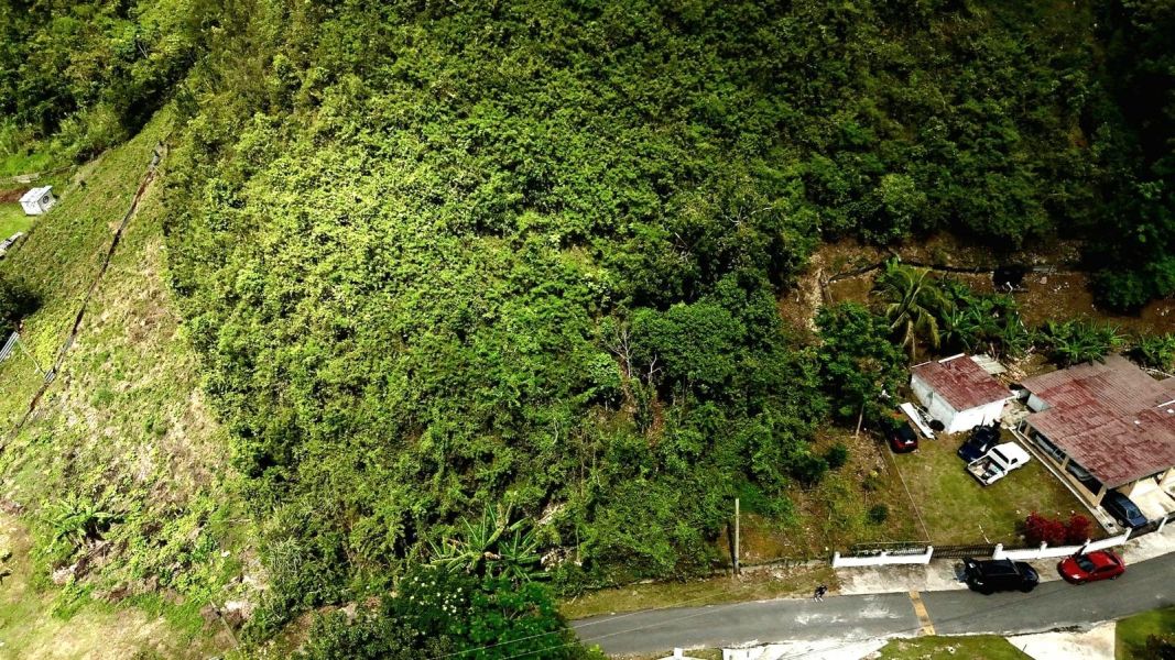 Carr 643 Int Km 1.53 Bo Rio Arriba Saliente Solar Manati 00674 PR