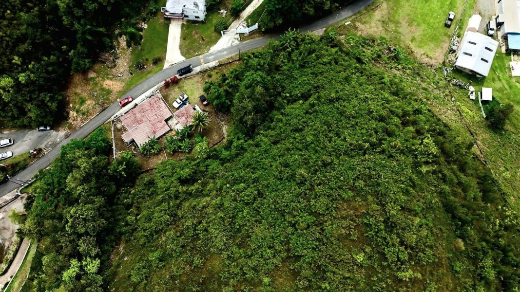 Carr 643 Int Km 1.53 Bo Rio Arriba Saliente Solar Manati 00674 PR