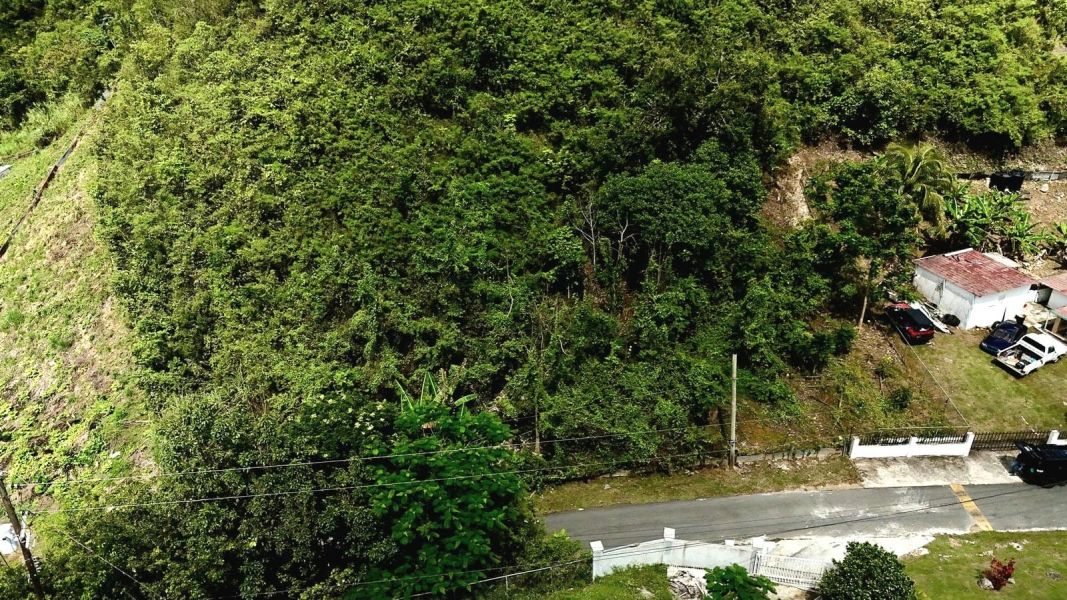 Carr 643 Int Km 1.53 Bo Rio Arriba Saliente Solar Manati 00674 PR