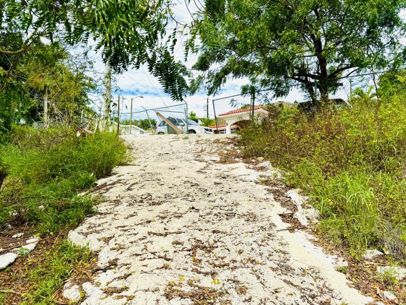 Urb Las Aguilas Calle 8 Solar Remanente A Coamo 00769 PR