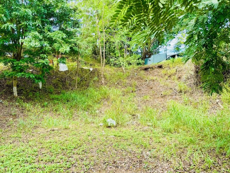 Urb Las Aguilas Calle 8 Solar Remanente A Coamo 00769 PR