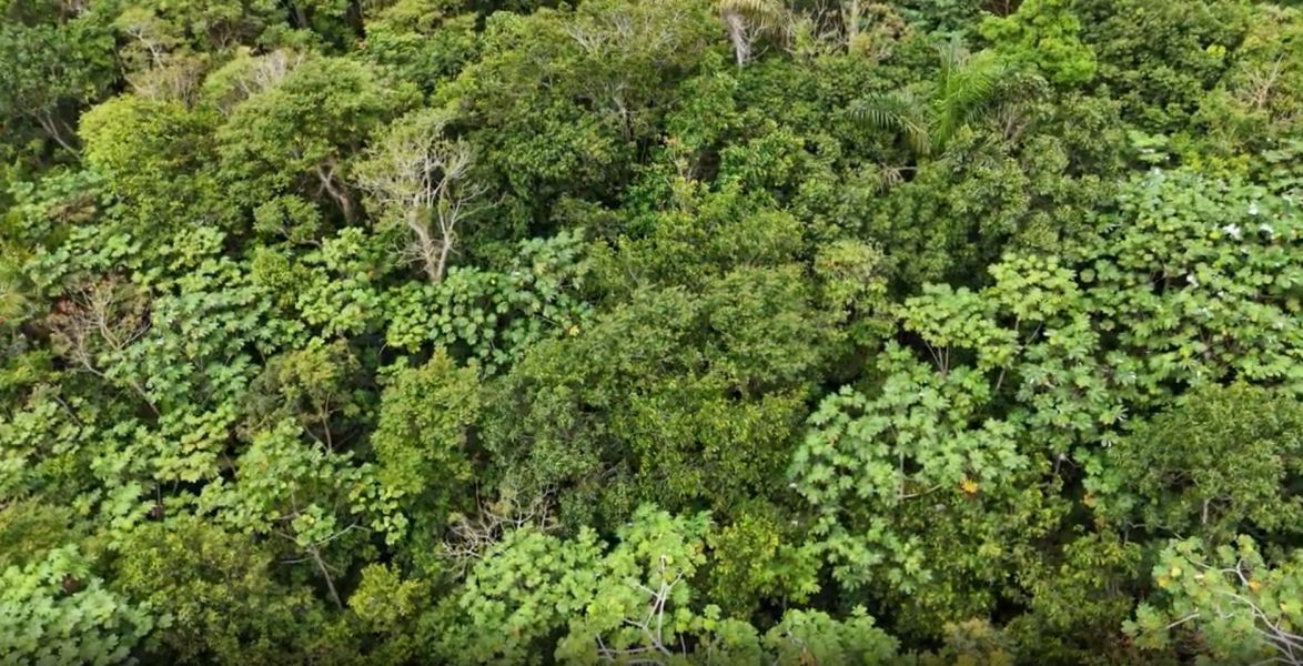 Pr-152r Km 0.2 Int Bo Helechal Parcela 1 Barranquitas 00794 PR