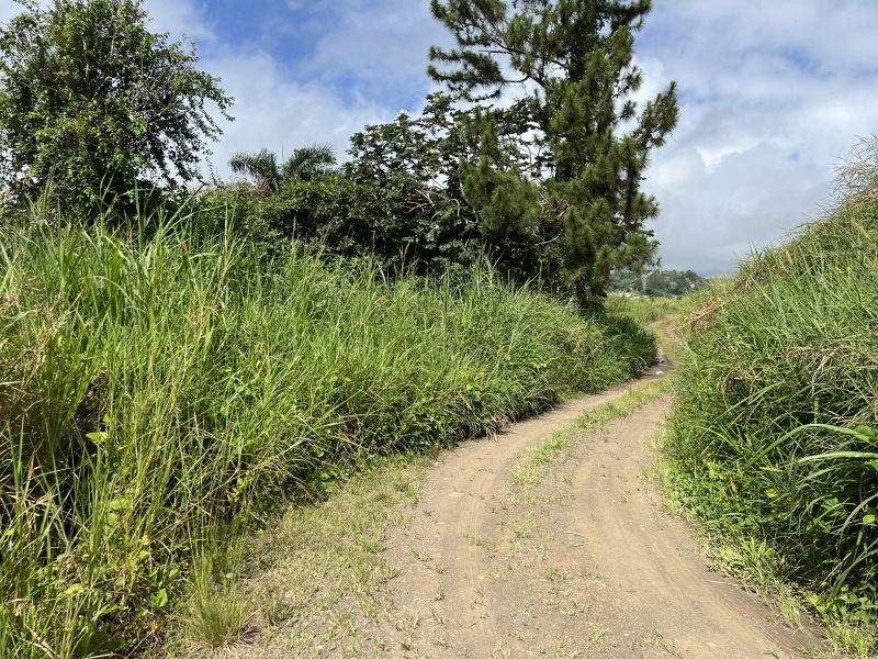 Pr-152r Km 0.2 Int Bo Helechal Parcela 1 Barranquitas 00794 PR