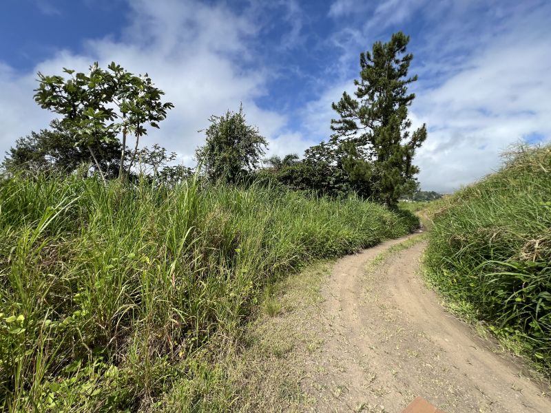 Pr-152r Km 0.2 Int Bo Helechal Parcela 1 Barranquitas 00794 PR