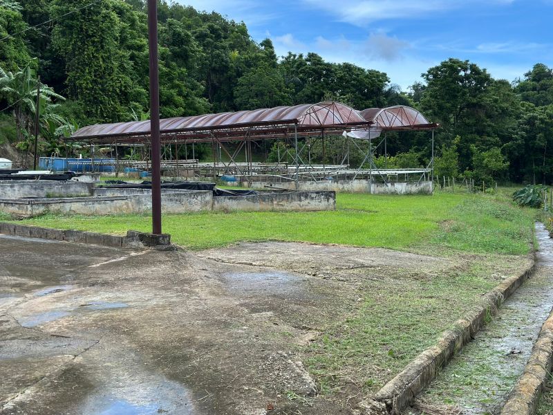 Carr 641 Km 4 Bo Rio Arriba Poniente Manati 00674 PR