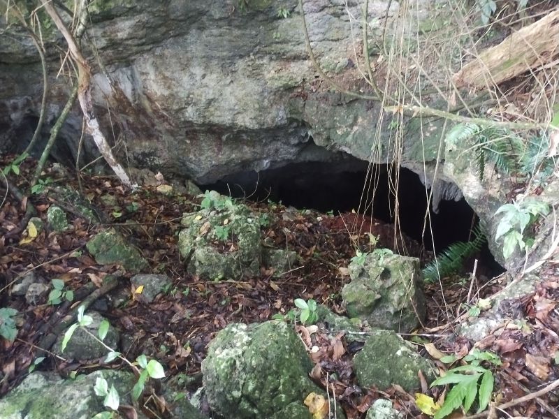 Carr 641 Km 4 Bo Rio Arriba Poniente Manati 00674 PR