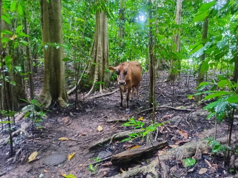 Carr 641 Km 4 Bo Rio Arriba Poniente Manati 00674 PR