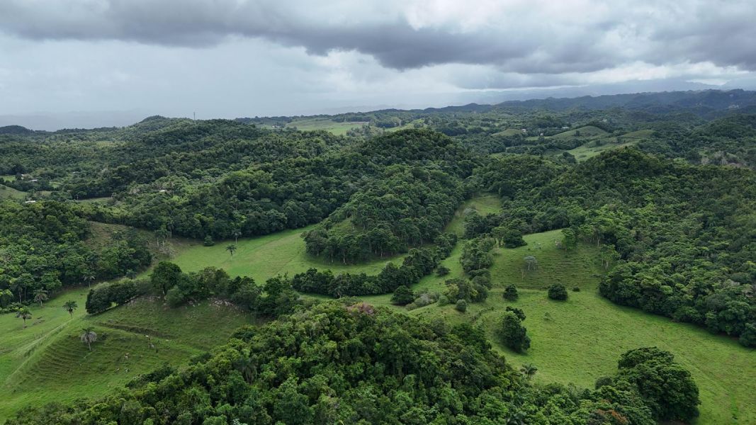 Carr 641 Km 4 Bo Rio Arriba Poniente Manati 00674 PR
