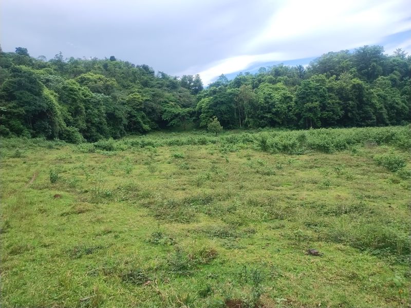 Carr 641 Km 4 Bo Rio Arriba Poniente Manati 00674 PR