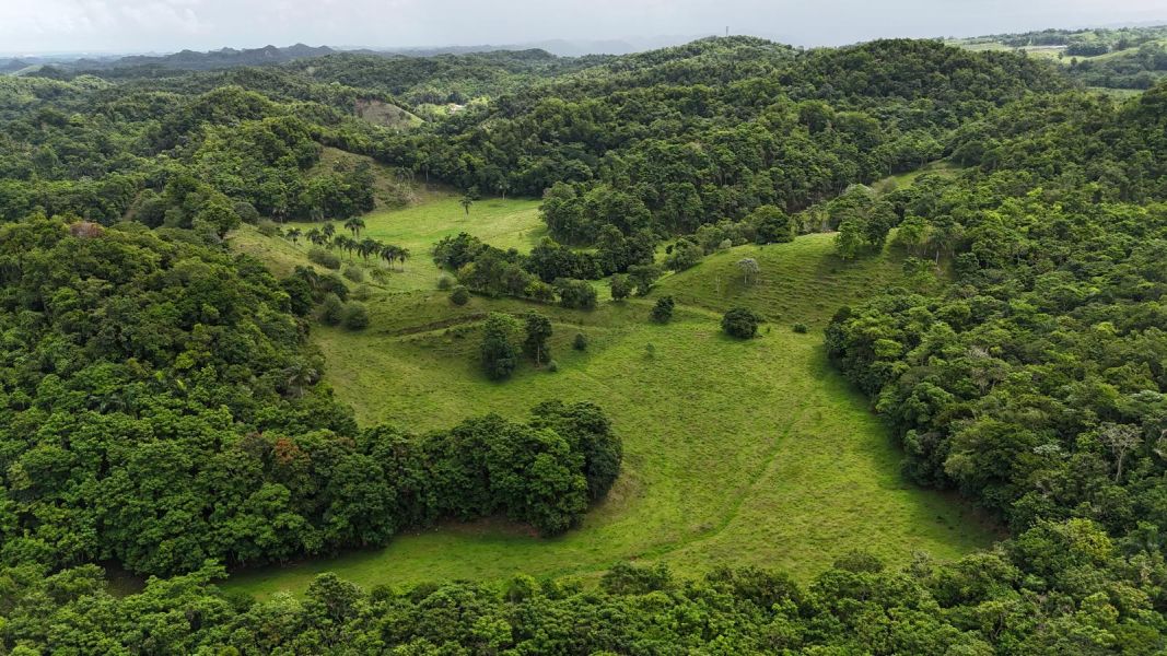 Carr 641 Km 4 Bo Rio Arriba Poniente Manati 00674 PR
