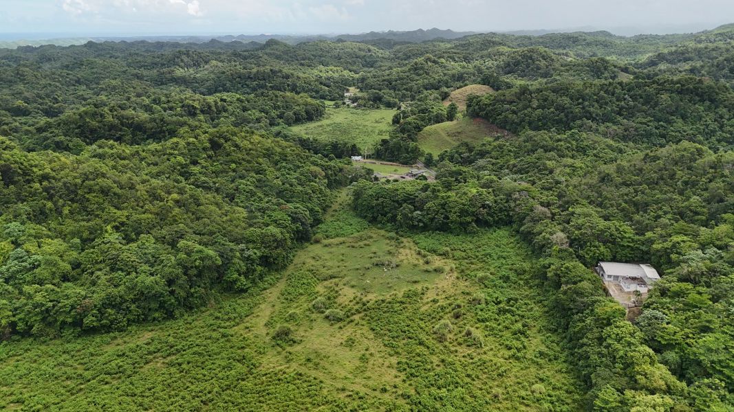 Carr 641 Km 4 Bo Rio Arriba Poniente Manati 00674 PR