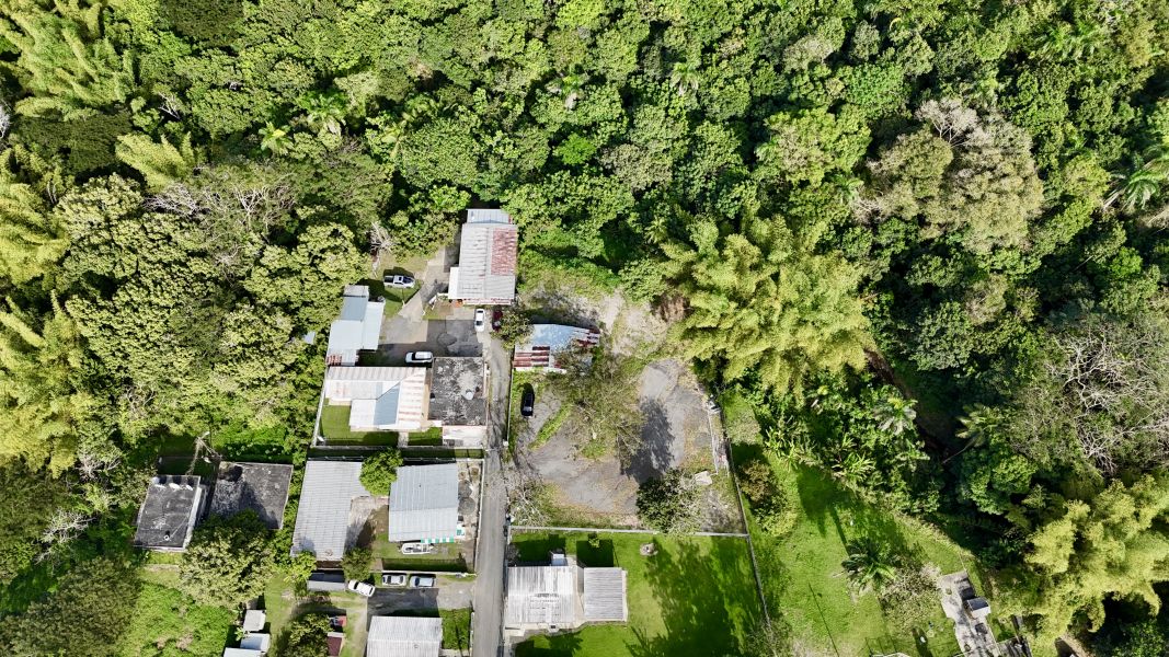 Bo Monte Grande Sec La Quince Carr 312 Km 1.3 Cabo Rojo 00623 PR