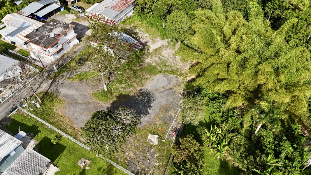 Bo Monte Grande Sec La Quince Carr 312 Km 1.3 Cabo Rojo 00623 PR