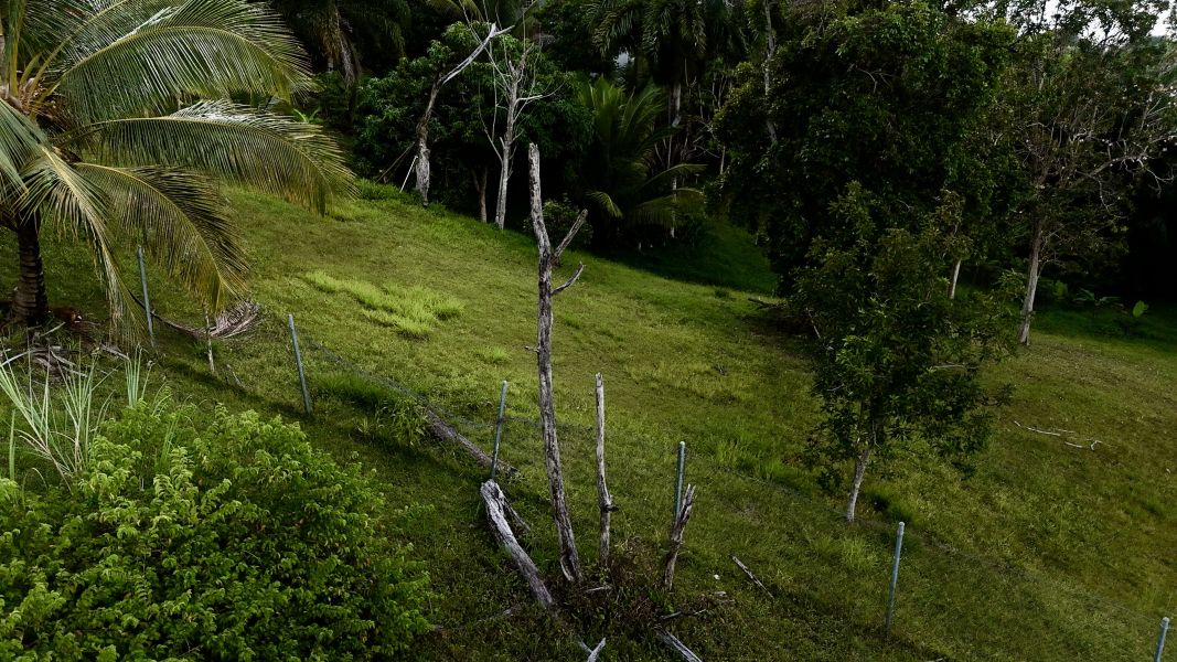 Urb Colinas De Cerro Gordo Calle 3 Solar #7 Bayamon 00956 PR