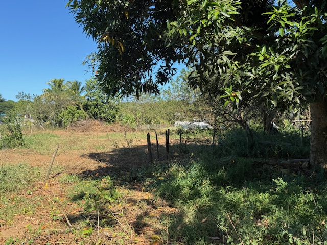 Pr 486 Km 2.6 Zanjas Ward Camuy 00627 PR