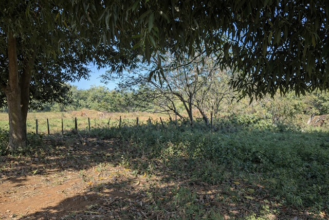 Pr 486 Km 2.6 Zanjas Ward Camuy 00627 PR