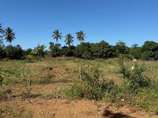 Pr 486 Km 2.6 Zanjas Ward Camuy 00627 PR