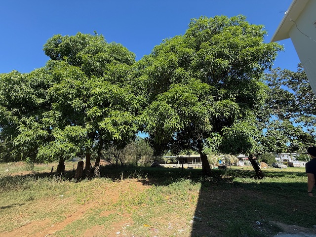 Pr 486 Km 2.6 Zanjas Ward Camuy 00627 PR