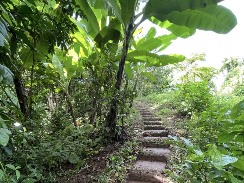 Carr 108 Km 19.2 Int Sector Los Velez Bo Anones Las Marias 00670 PR