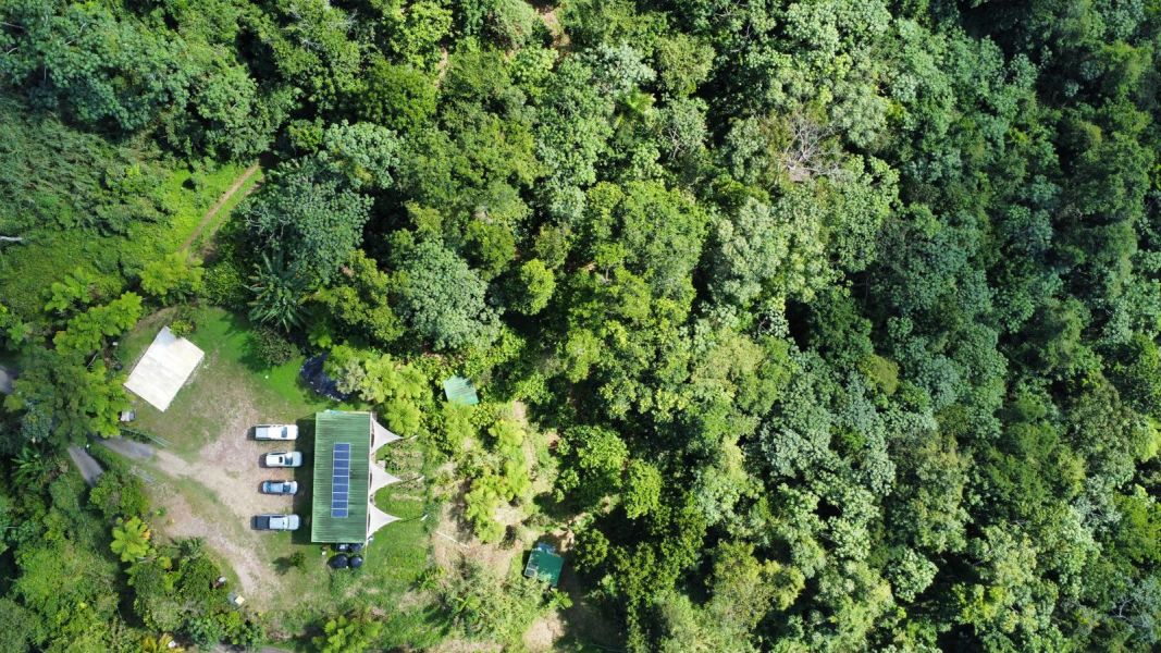 Carr 108 Km 19.2 Int Sector Los Velez Bo Anones Las Marias 00670 PR