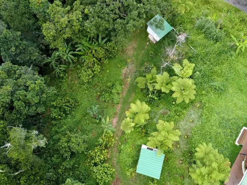 Carr 108 Km 19.2 Int Sector Los Velez Bo Anones Las Marias 00670 PR