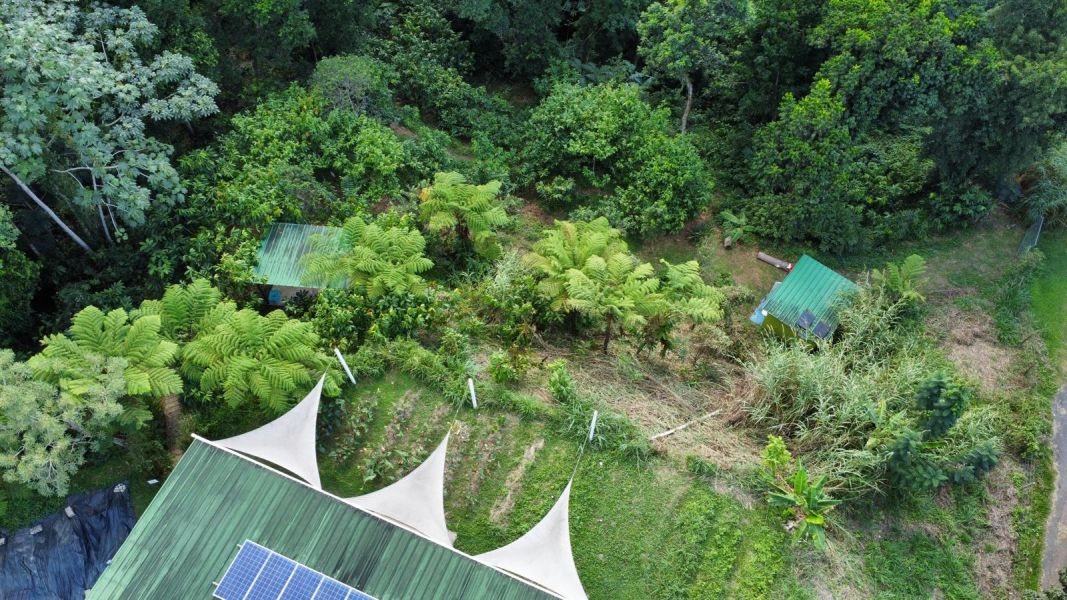 Carr 108 Km 19.2 Int Sector Los Velez Bo Anones Las Marias 00670 PR