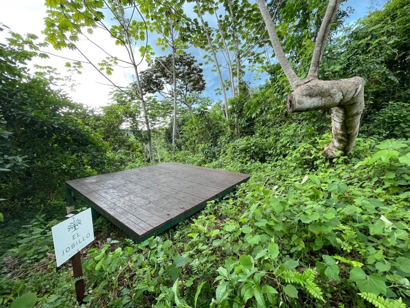 Carr 108 Km 19.2 Int Sector Los Velez Bo Anones Las Marias 00670 PR