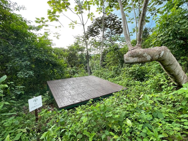 Carr 108 Km 19.2 Int Sector Los Velez Bo Anones Las Marias 00670 PR