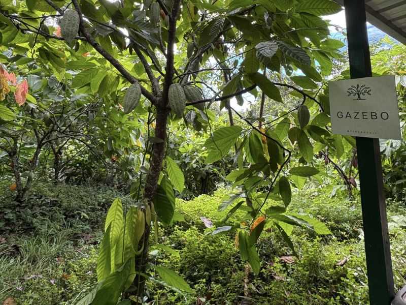 Carr 108 Km 19.2 Int Sector Los Velez Bo Anones Las Marias 00670 PR