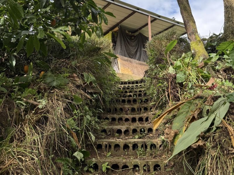 Carr 108 Km 19.2 Int Sector Los Velez Bo Anones Las Marias 00670 PR