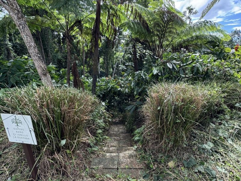 Carr 108 Km 19.2 Int Sector Los Velez Bo Anones Las Marias 00670 PR