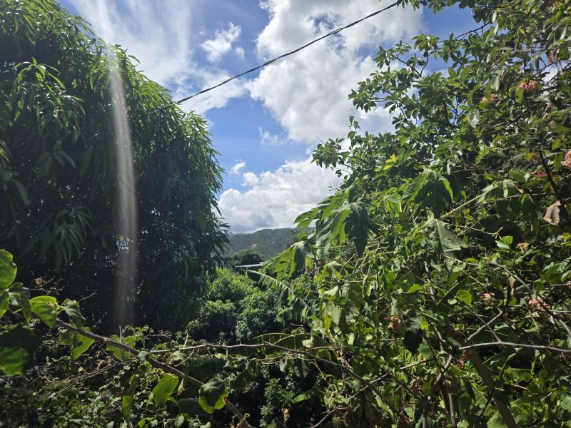 Carr 365 Km 2.8 Calle Euripides Bo Molina Sabana Grande 00637 PR