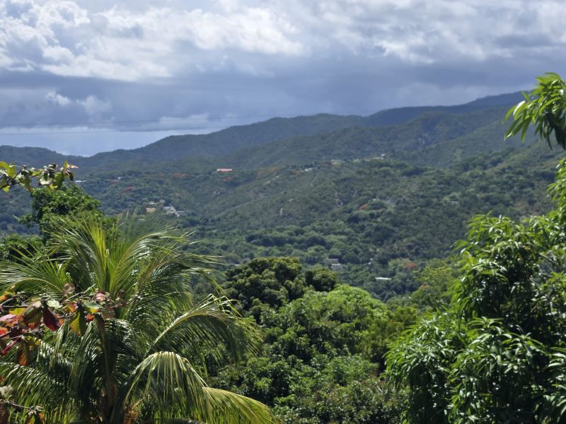 Carr 365 Km 2.8 Calle Euripides Bo Molina Sabana Grande 00637 PR