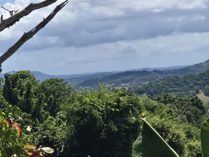 Carr 365 Km 2.8 Calle Euripides Bo Molina Sabana Grande 00637 PR