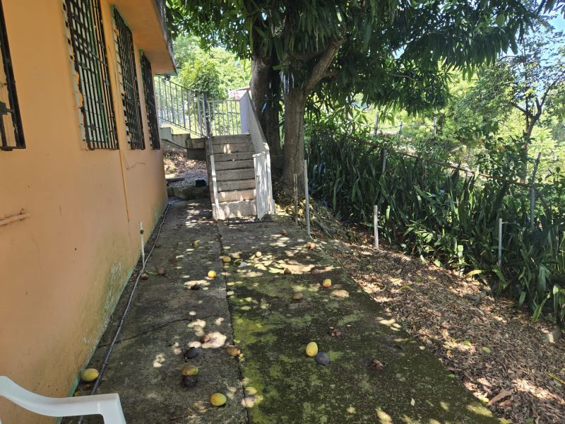 Carr 365 Km 2.8 Calle Euripides Bo Molina Sabana Grande 00637 PR