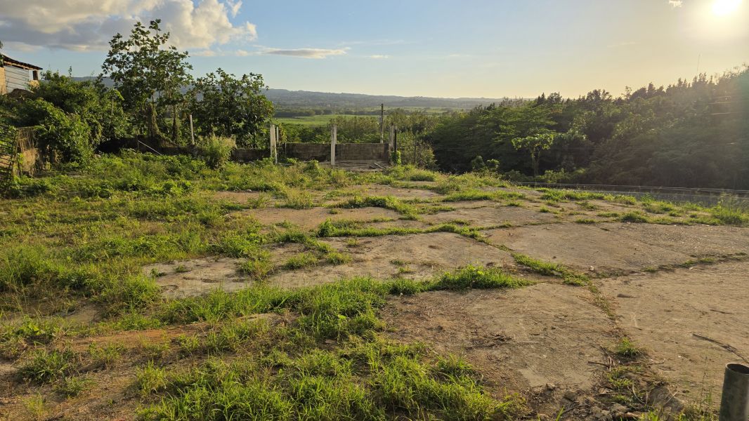 Solar C Bo Palmar Carr 443 Km 6.0 Aguadilla 00603 PR